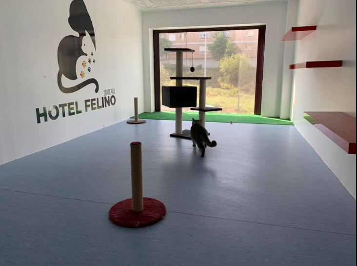 Imagem do hotel Hotel Felino - Santa Rita