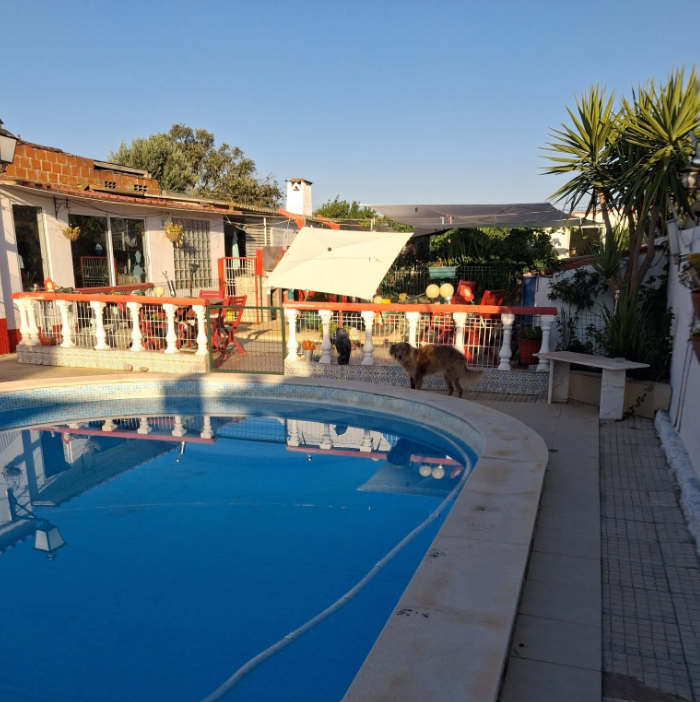 Imagem do hotel Hostel - A Casa dos Patudos