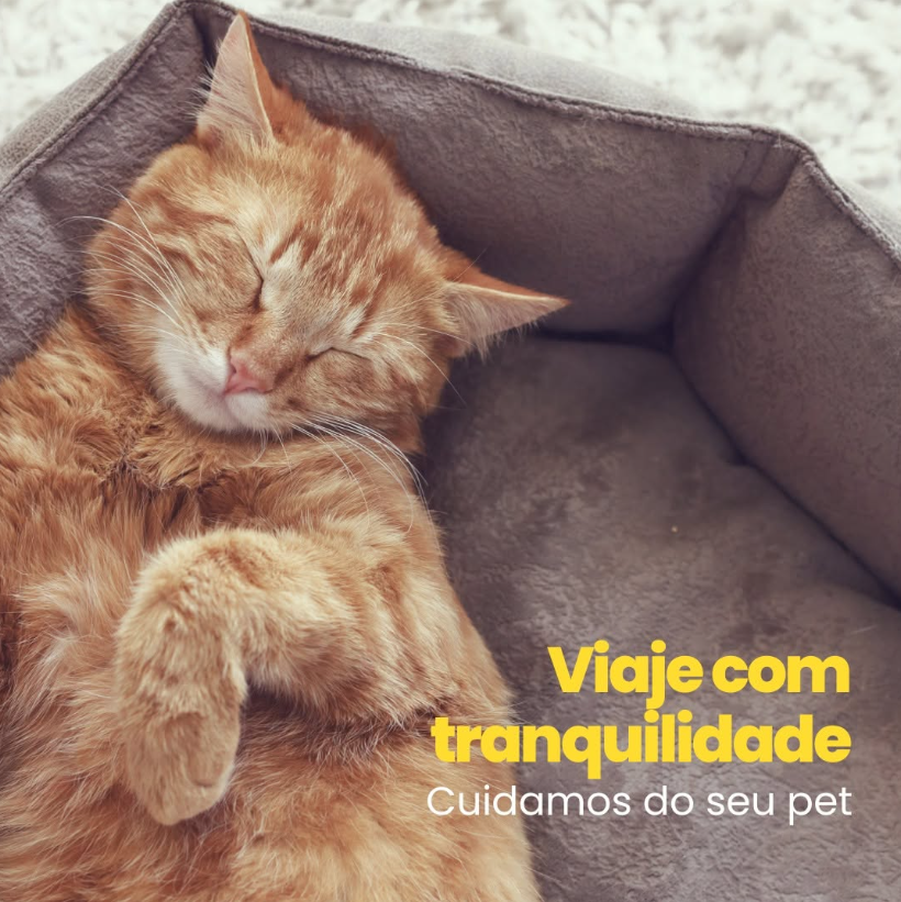 Imagem do hotel Le Petz - Hotel