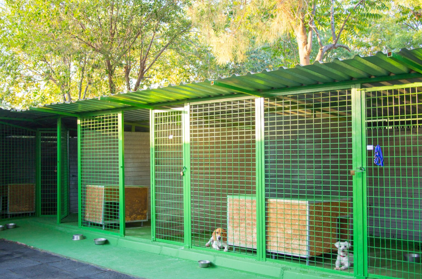 Foto da galeria de Centro Canino Vallecan