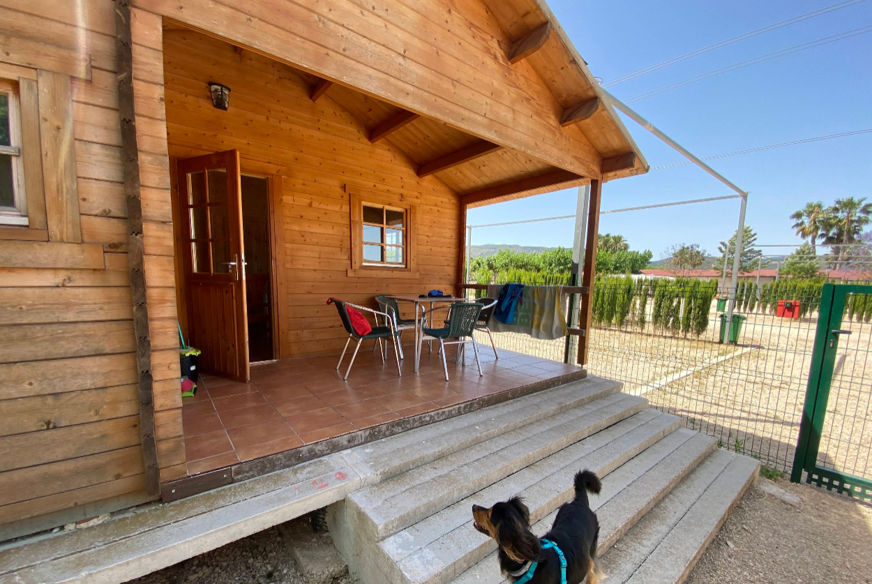 Foto da galeria de Trust Resort Canino