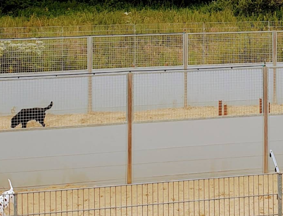 Foto da galeria de Dierenhotel Betuwse Weide